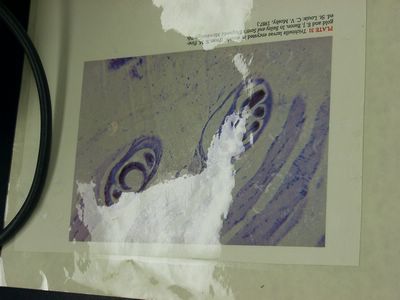 04050025.JPG