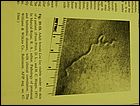04050020.JPG